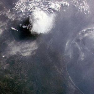 10060824.jpg