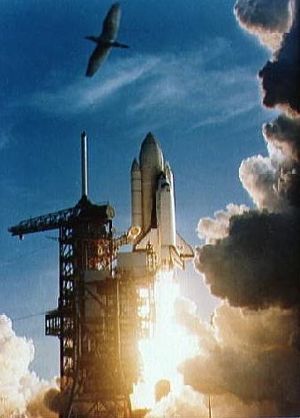 STS-1