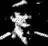 dediu.gif