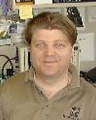 iviicott.jpg