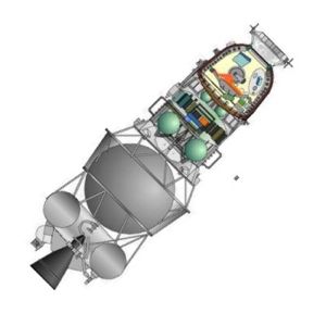 L1 Cross-section