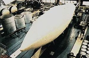 MAKS propellant tank